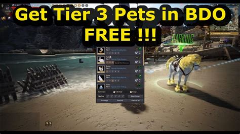 bdo best pets|Iba pa.